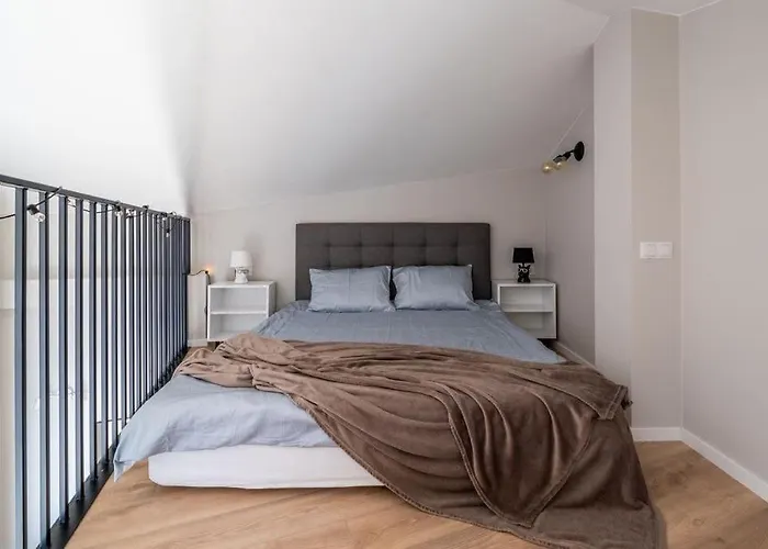 New Loft With Rooftop Terrace In The Old Town Riga