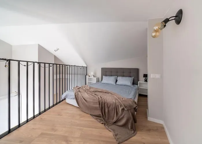 New Loft With Rooftop Terrace In The Old Town Riga