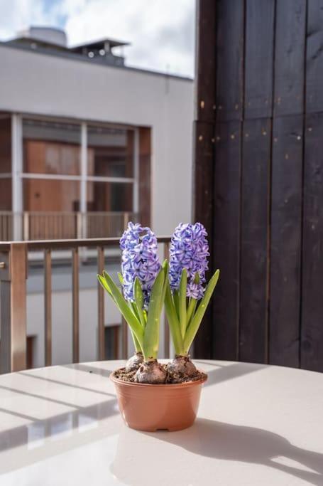 Appartement New Loft With Rooftop Terrace In The Old Town *